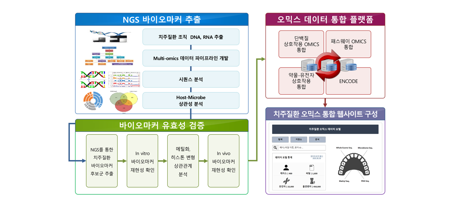 Bio-informatics (Next generation sequencing)